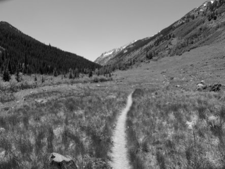 The trail often opens into beautiful meadows. Affording views of the surrounding peaks